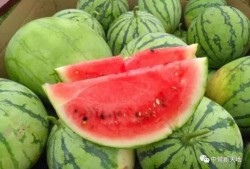 今日吃瓜全集完整版,揭秘娱乐圈幕后真相，带你领略明星们的真实生活