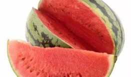 吃瓜网官网.今日吃瓜贴,娱乐圈最新瓜料大揭秘